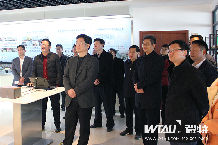 市委常委、組織部長(zhǎng)汪偉來(lái)微特調(diào)研