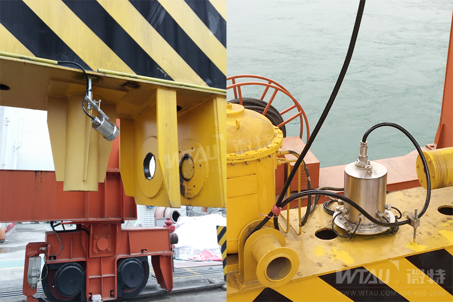 微特紫蘭壩電廠門機(jī)安全監(jiān)控系統(tǒng)項目順利驗收